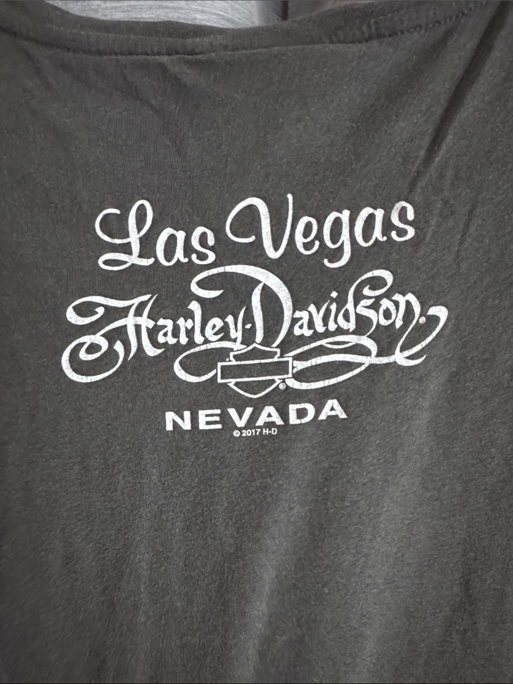 Harley-Davidson Gray Short Sleeve Tee with Orange Accents - Picture 4 of 5